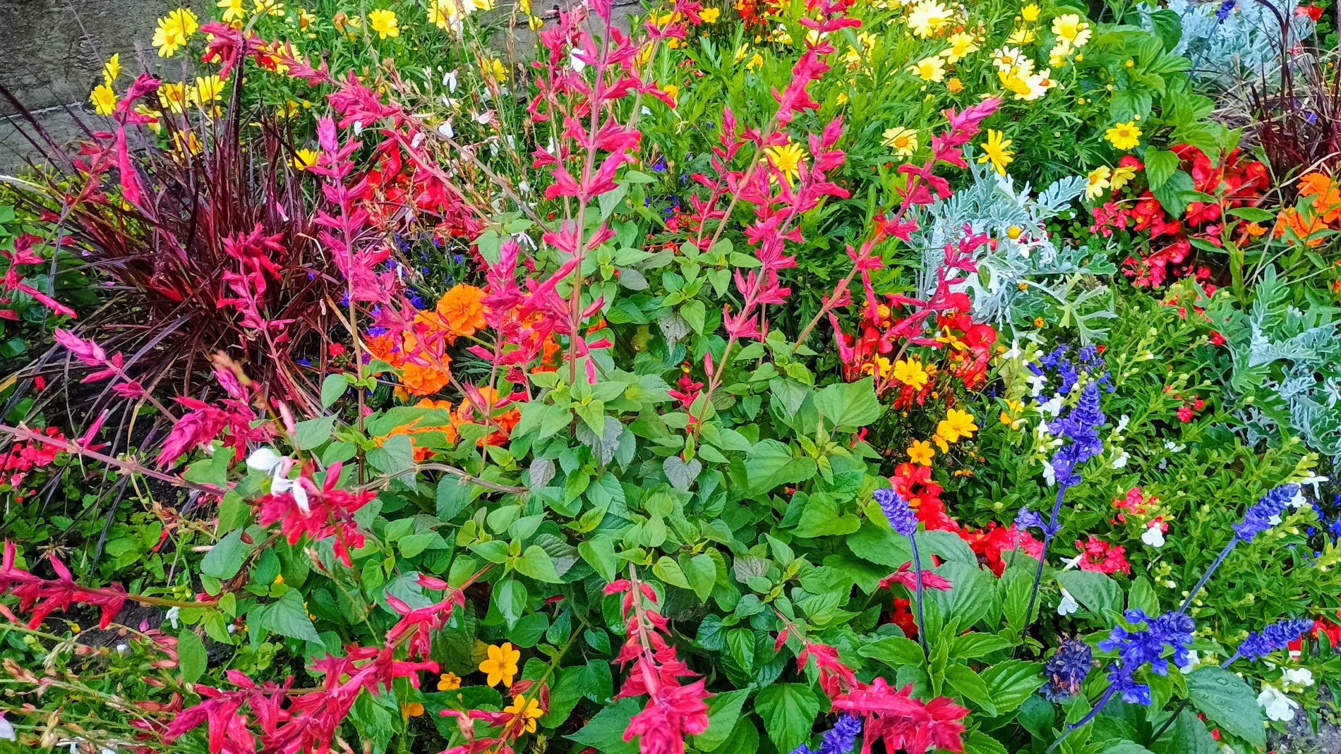 Mobirise Website Builder